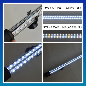 一瞬で綺麗に魅せる!金龍の青を最大限に強調する水中LEDライト|AK120-EX 金龍 専用 ワイルドブルー 青 水中 アロワナ 高輝度 水槽ライト テンニングライト LED ライト 照明 水中照明 光 綺麗 透明感 強化ガラス 吸盤 1年保証 簡単 設置 でんらい インテリア 雑貨 愛知県 小牧市 送料無料 [172C18]