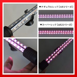 変化を体感!水を赤くせず、紅龍だけ美しく魅せる水中LEDライト|AR120-EX 紅龍 ナチュラルレッド 赤 水中 アロワナ 水槽ライト テンニングライト LED ライト 照明 水中照明 光 綺麗 強化ガラス 吸盤 1年保証 簡単 設置 でんらい インテリア 雑貨 愛知県 小牧市 送料無料 [172C19]
