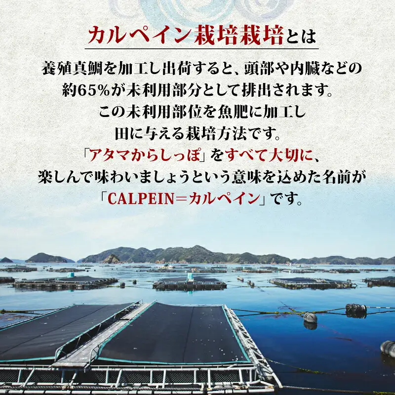 令和8年産 新米 コシヒカリ 魚乃まいひめ 6kg 精米 秀長水産 コシヒカリ G020-016010
