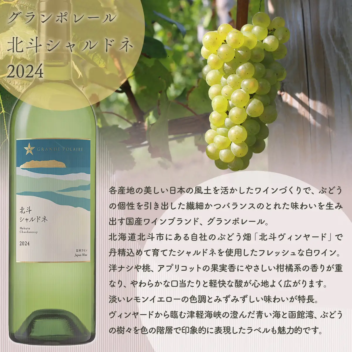 グランポレール　北斗メルロー2023　シャルドネ2024　各1本セット HOKJ012