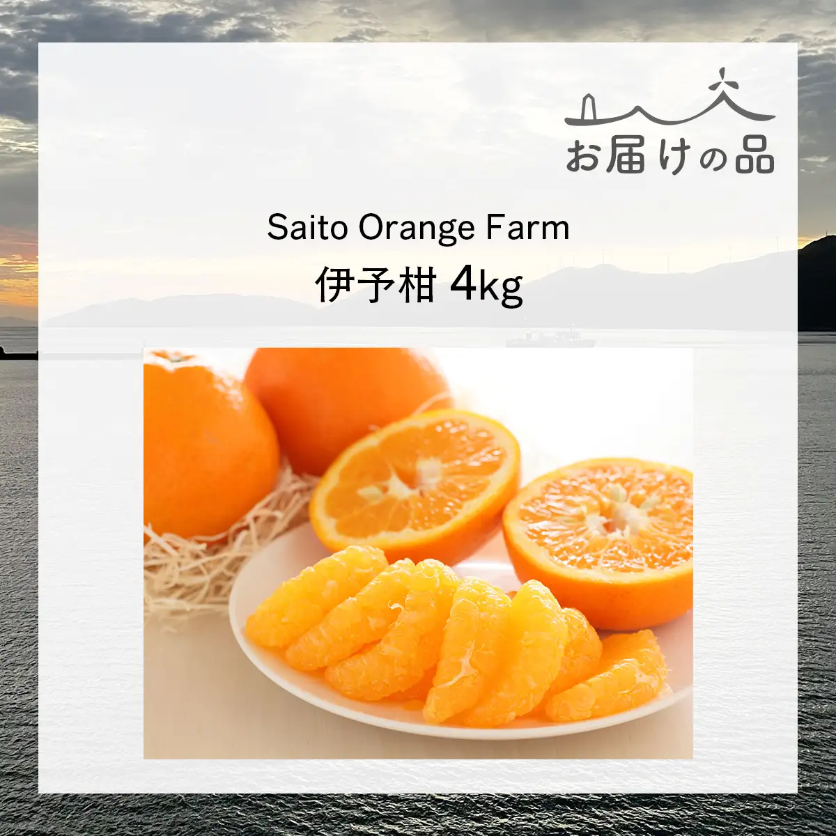 【先行予約】Saito Orange Farm ご家庭用 伊予柑4kg （2027年1月中旬頃より順次発送予定）IKTAQ027