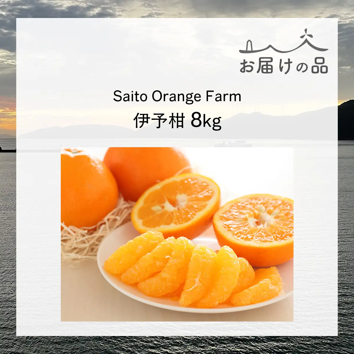 【先行予約】Saito Orange Farm ご家庭用 伊予柑8kg （2027年1月中旬頃より順次発送予定）IKTAQ028