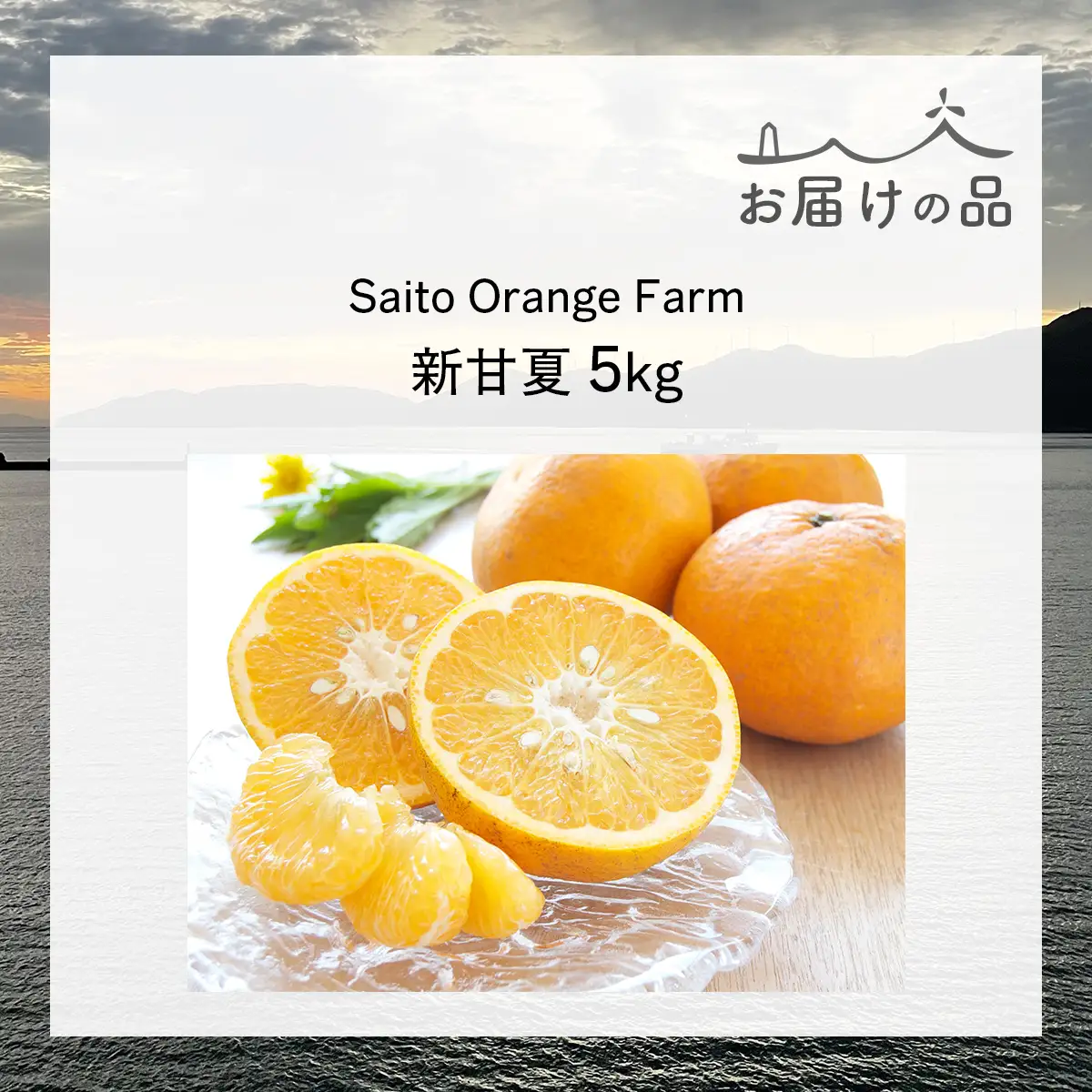 【先行予約】Saito Orange Farm ご家庭用 新甘夏5kg （2027年3月下旬頃より順次発送予定））IKTAQ029