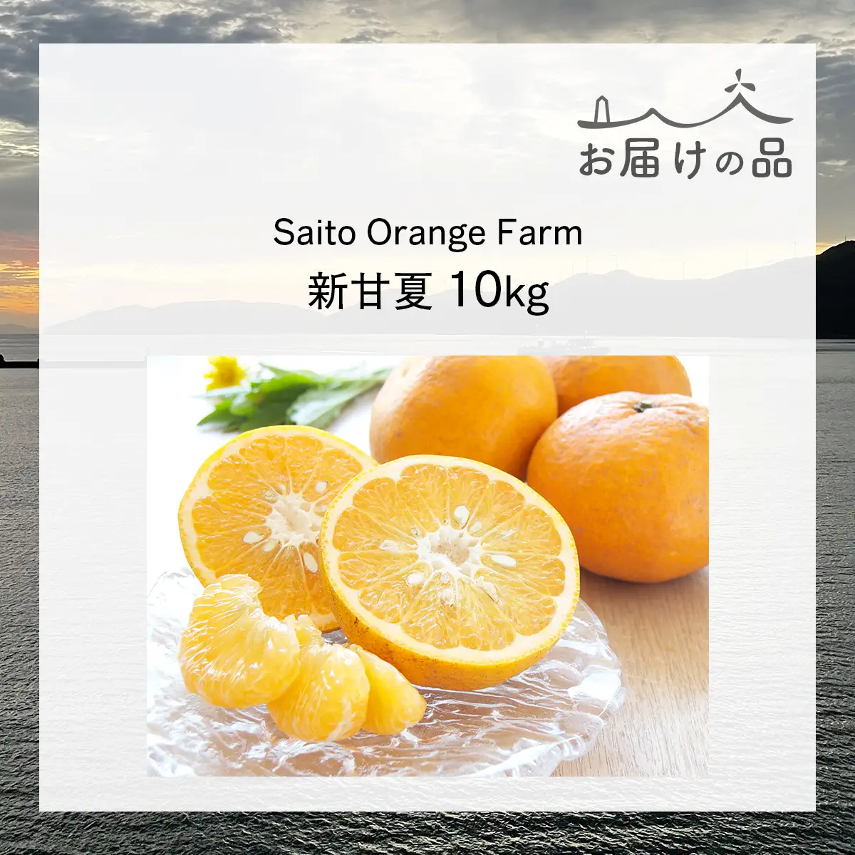 【先行予約】Saito Orange Farm ご家庭用 新甘夏10kg （2027年3月下旬頃より順次発送予定））IKTAQ030