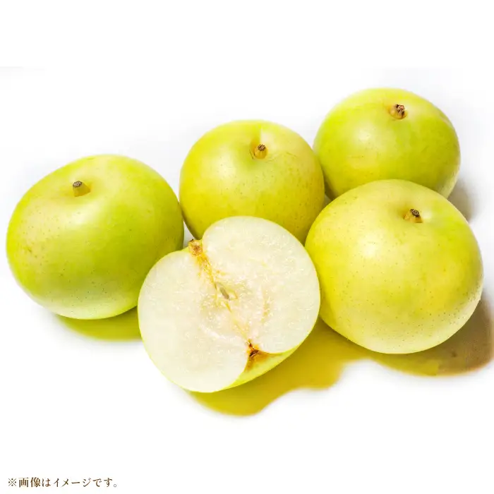 鳥取の梨 食べ比べセット　3kg