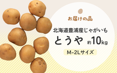 【先行予約】北海道豊浦産じゃがいも とうや 約10kg M-2Lサイズ 【2026年9月下旬～10月下旬発送】 野菜 じゃがいも 芋 ポテト ジャガイモ ポテサラ ポテトサラダ 国産 北海道 豊浦町