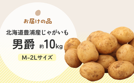【先行予約】北海道豊浦産じゃがいも 男爵 約10kg M-2Lサイズ 【2026年9月下旬～10月下旬発送】 野菜 じゃがいも 芋 ポテト ジャガイモ ポテサラ ポテトサラダ 国産 北海道 豊浦町