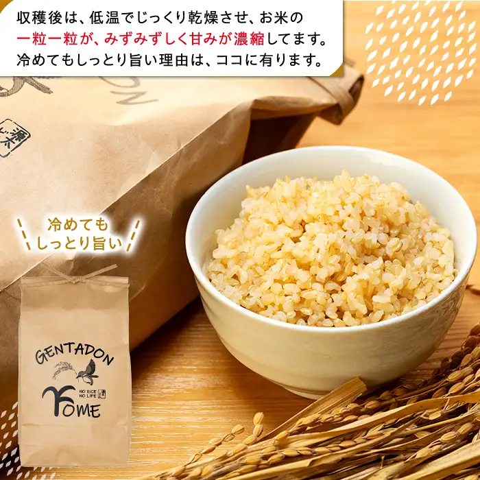 AB1-013 特別栽培米　コシヒカリ（玄米）20kg