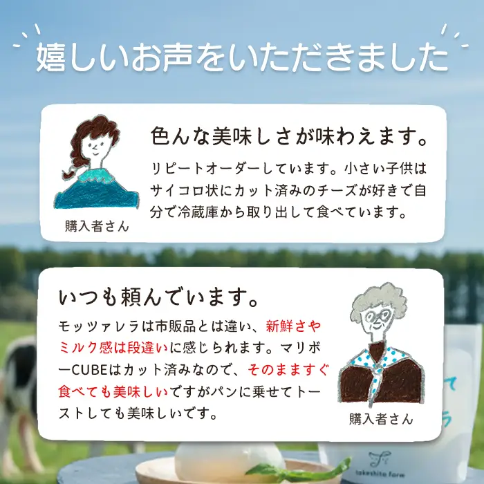 竹下牧場 takeshita farm【定期便9ヶ月】まるごとチーズセット 計560g【2402401】