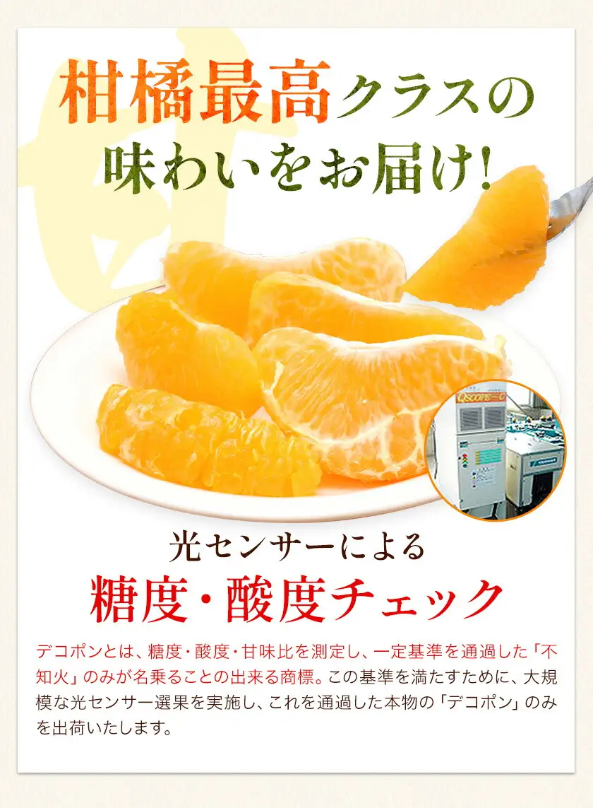 デコポン 先行予約 訳あり 5kg デコポン