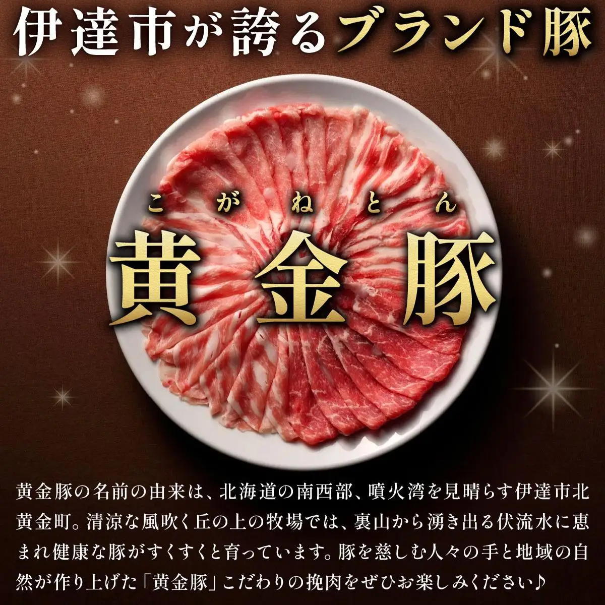 ＜黄金豚＞ブランドポーク 北海道 豚ひき肉 普通挽き 200g 22パック 計4.4kg