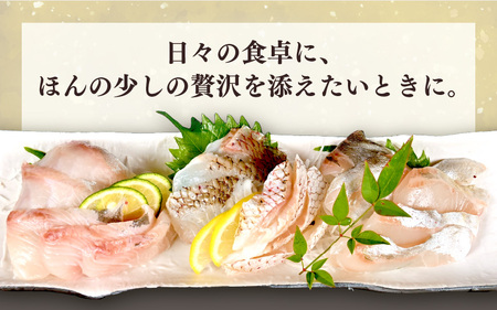 旬の高級刺身セット (50g×8～10袋・5種以上）【 刺身 】 [m78-a001]