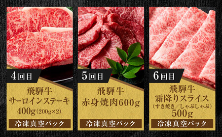 【定期便】全12回 飛騨牛 ざんまい(ステーキ/焼肉/すき焼き/切り落とし/ブロック) | 定期便 MZ106