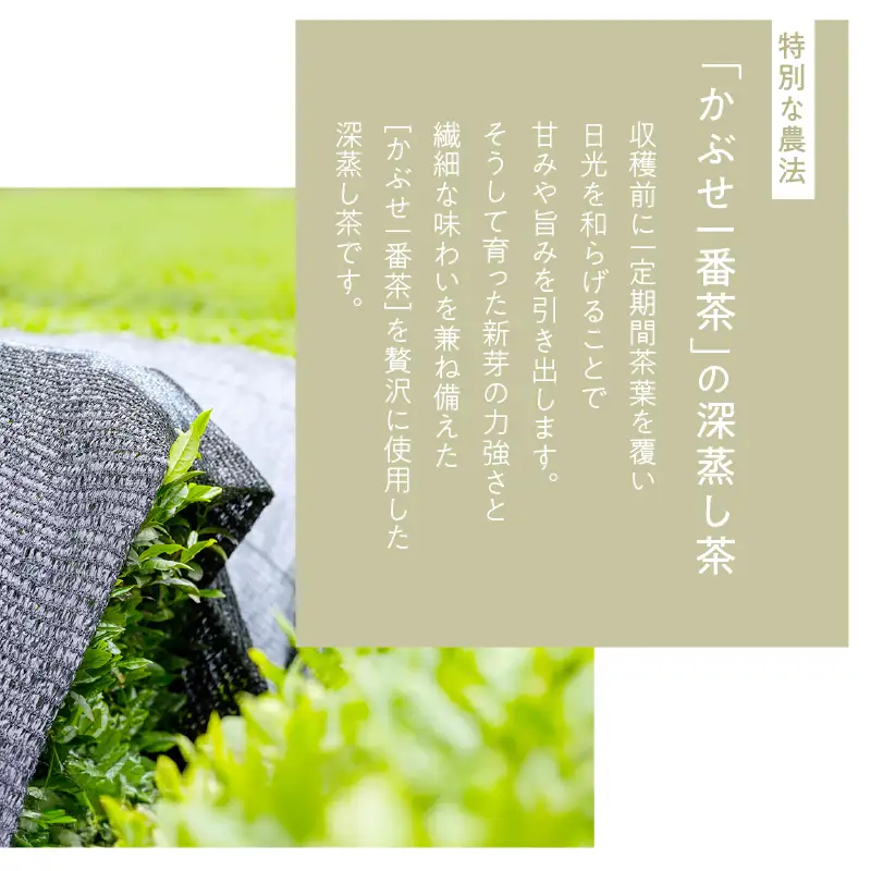 華ゆらぎ 1kg（ 100g×10本 ） KN162-003-04 茶