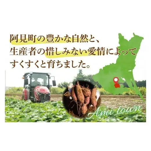 さつまいも あまはづき 5kg 甘藷 先行予約 甘い さつま芋 サツマイモ 薩摩芋 生芋 ねっとり 茨城県産 茨城県 阿見町【2026年12月上旬より順次発送予定】(90-02)