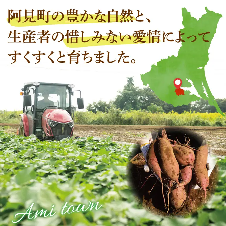 さつまいも シルクスイート 5kg 甘藷 先行予約 甘い さつま芋 サツマイモ 薩摩芋 生芋 しっとり 茨城県産 茨城県 阿見町【2026年12月上旬より順次発送予定】(90-03)