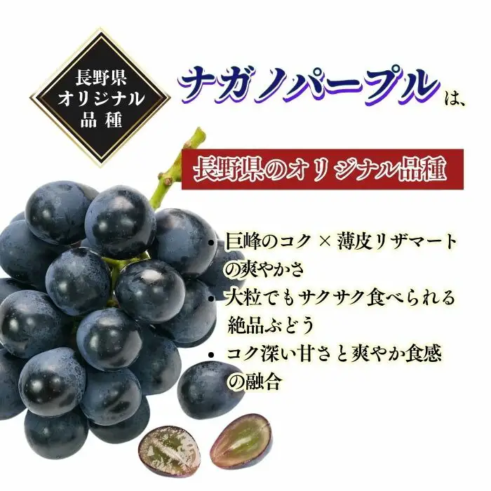 【2026年先行予約】ナガノパープル 約1kg|ぶどう