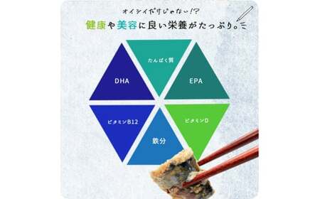 定期便【全3回/毎月お届け】大容量！ ご家庭用 塩さばフィレの定期便 / さば サバ 鯖 フィレ 切り身 切身 魚 海鮮 焼き魚 おかず 定期便【tkb353】