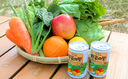 野菜ジュース 富良野産 野菜の里 ミックス 野菜ジュース【160g×30本入】