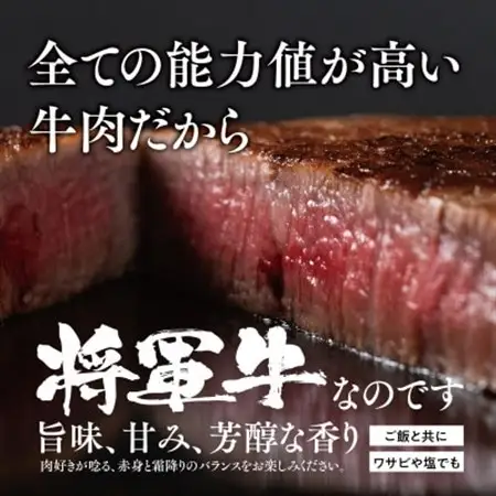 【将軍牛】特選ヒレステーキ 300g【配送不可地域：離島・北海道・沖縄県】【1653413】