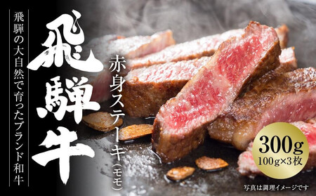 【定期便】全3回 飛騨牛 赤身 ステーキ | 赤身 MZ108