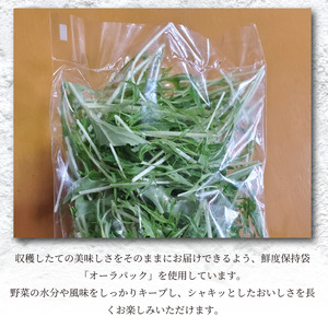 【 有機野菜 】 カット野菜 5袋 詰め合わせ 有機野菜