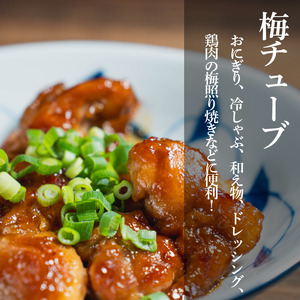 小梅干し 500g 梅肉チューブ 3本 梅干