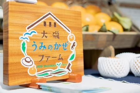 【特選★糖度18度以上】大磯の大玉柿『太秋』5個入り（約２kg）〈出荷時期:2026年10月中旬～2026年11月中旬〉【 神奈川県 大磯町 】