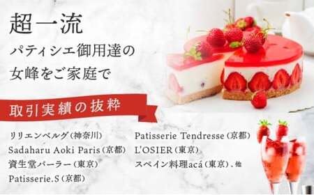 【来シーズン先行予約】【3回定期便】亀岡産いちご 女峰 1箱×3回 イチゴ