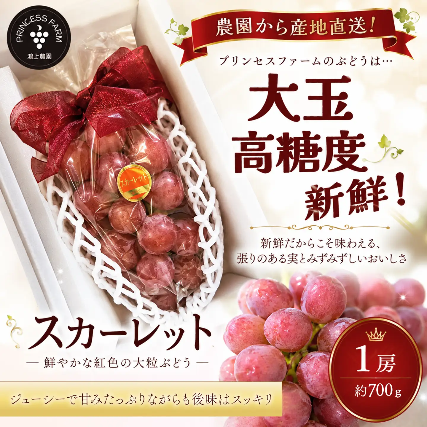 種なし赤ぶどう スカーレット（1房・約700g）ぶどう