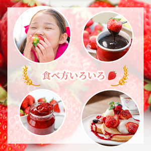 【3月発送】いちご 1120g | いちご TJI