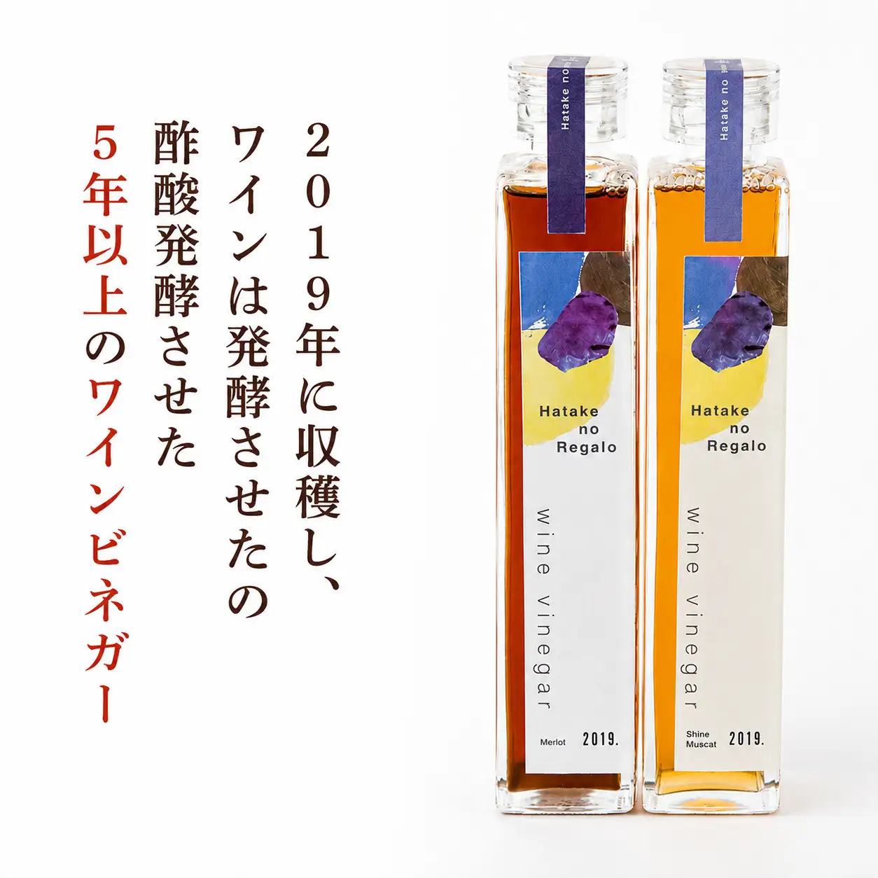 ワインビネガー2019年紅白200ml　2本セット