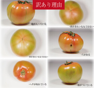 【訳あり】 【2027年1月発送】 桃太郎トマト 約1kg 先行予約 トマト