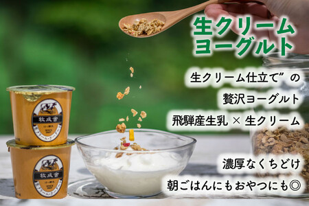 【定期3か月便】牧成舎のヨーグルトたっぷり12個セット（加糖2種×各６）ヨーグルト DF216