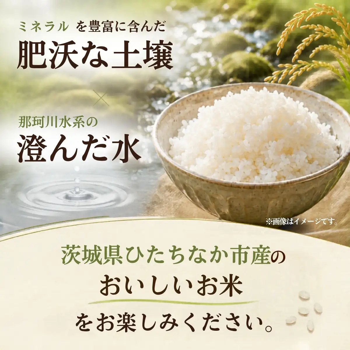 令和8年度米 コシヒカリ 玄米 10kg 農家直送 | 新米 令和8年 先行受付 期間限定 