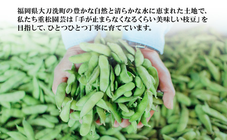 枝豆 焼き枝豆 福岡県産 枝豆【4kg(200g×20袋)】