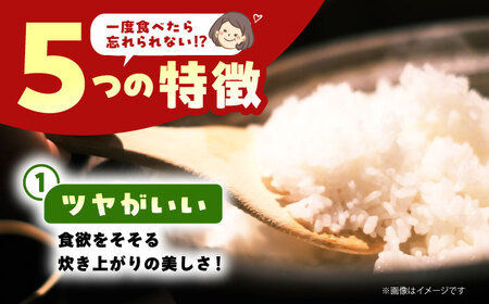 【先行予約】令和8年産 さがびより 精米 5kg 【佐賀県江北町産】[HAF030] こめ