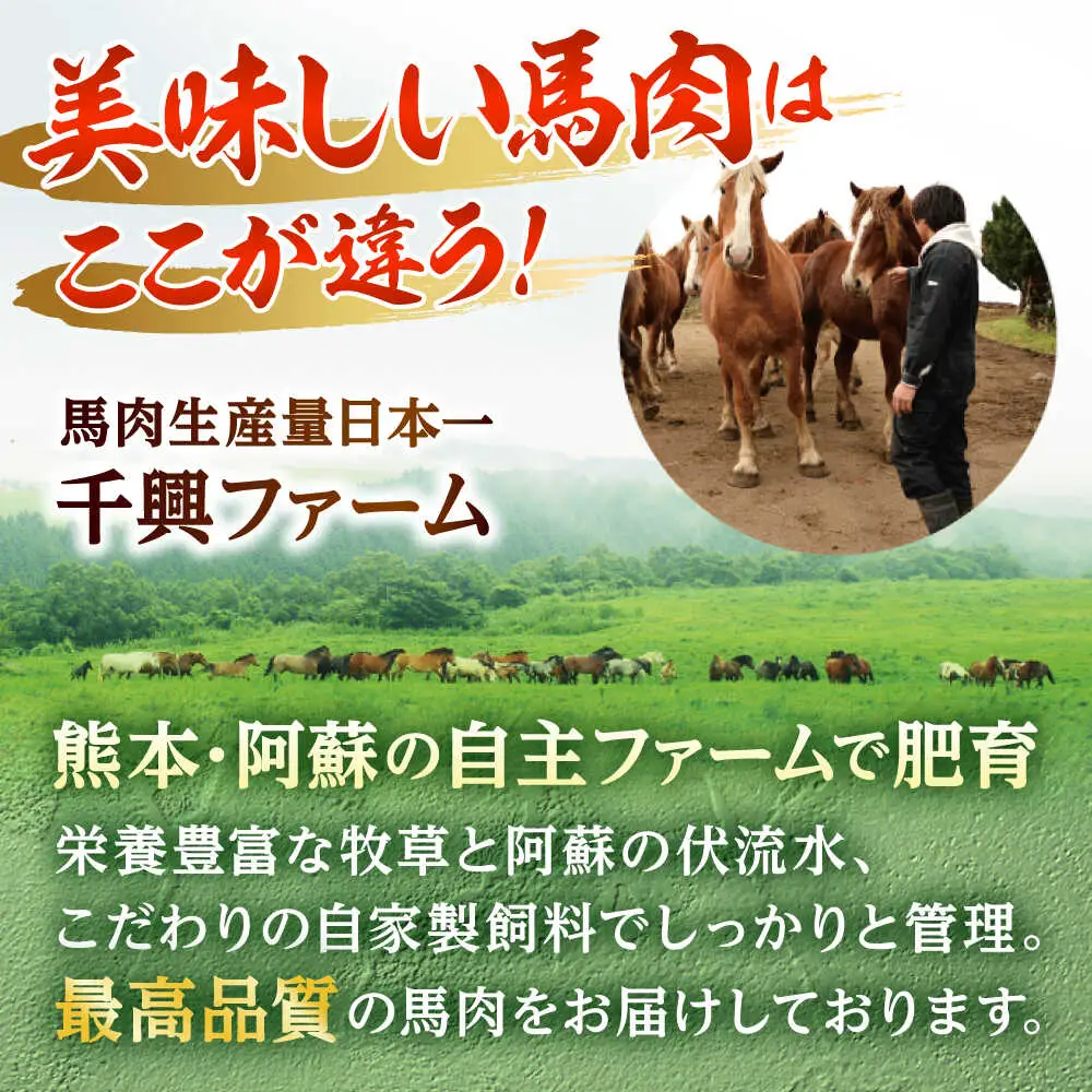 熊本 馬肉 馬肉ハンバーグ 8個（約130g/個）ハンバーグ[AYAF098]