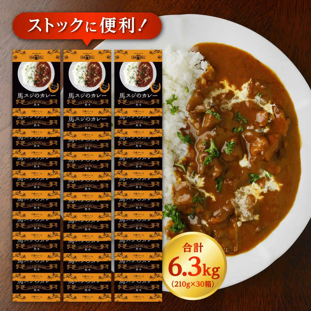 熊本 馬肉 馬スジのカレー 30食分（210g/食）カレー[AYAF116]
