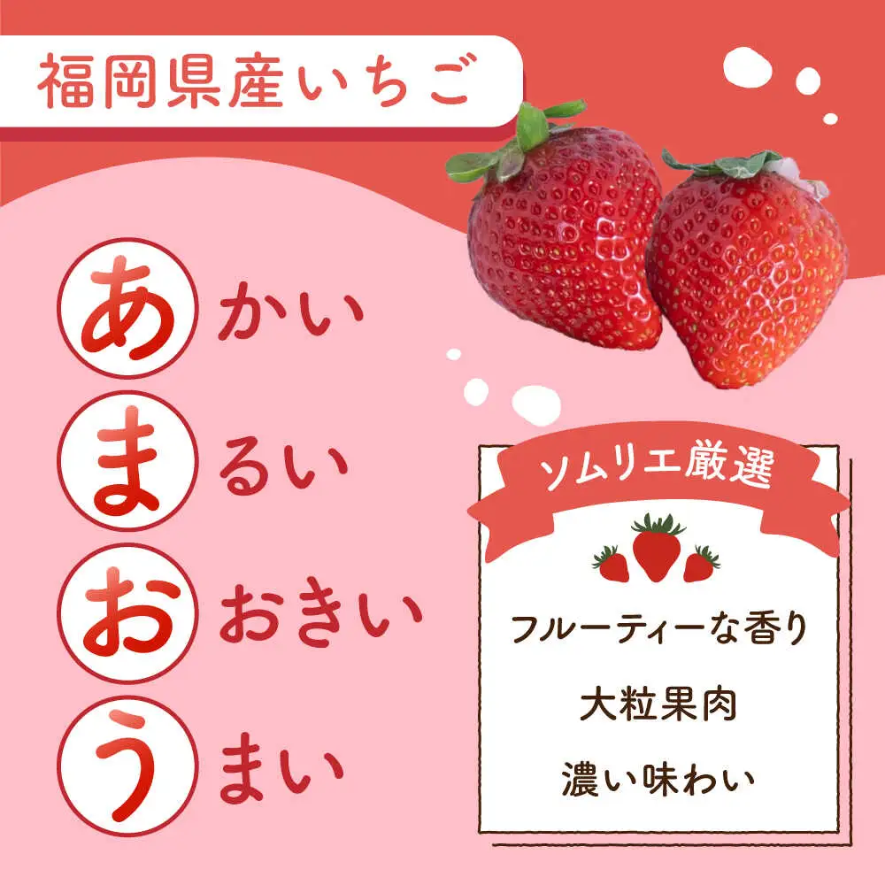 【先行予約】春あまおう6P BGAG026 あまおういちご