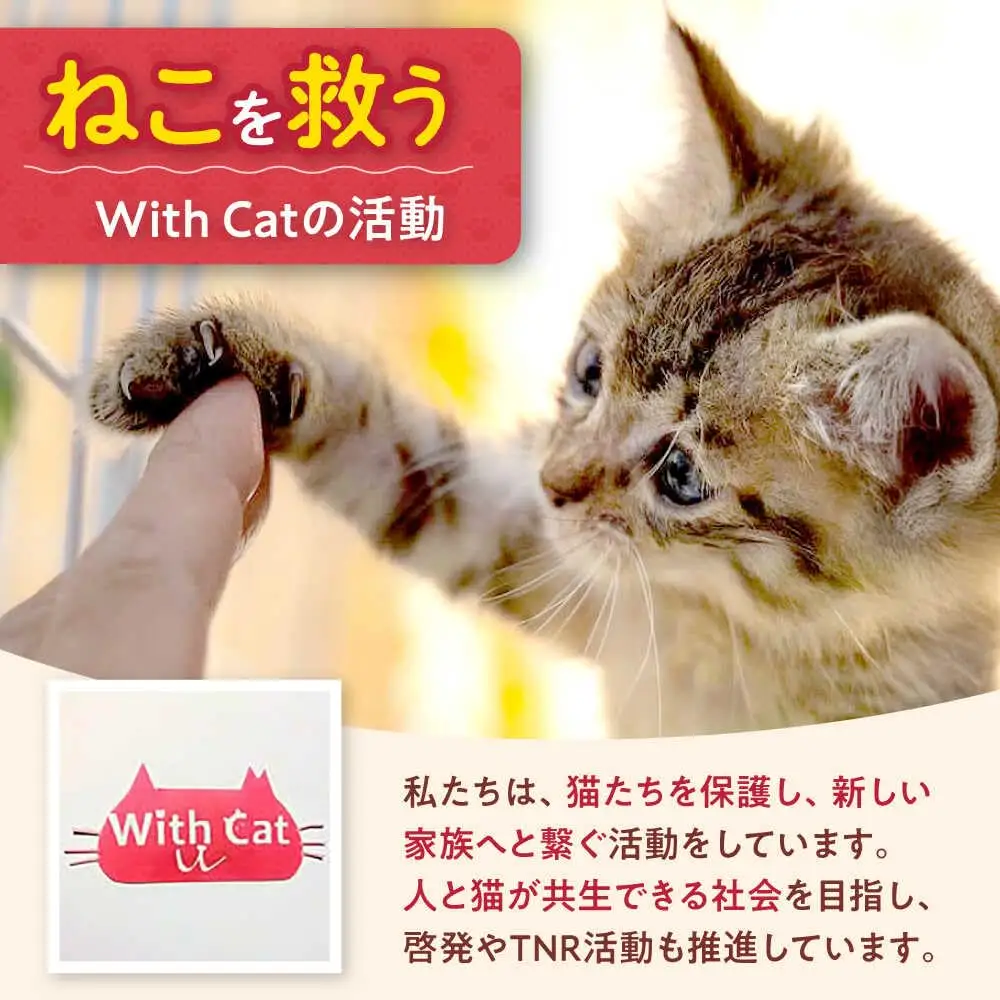 ねこ雑貨 オリジナル缶バッチミックスセット 大阪府高槻市/WithCat[AOEI004]