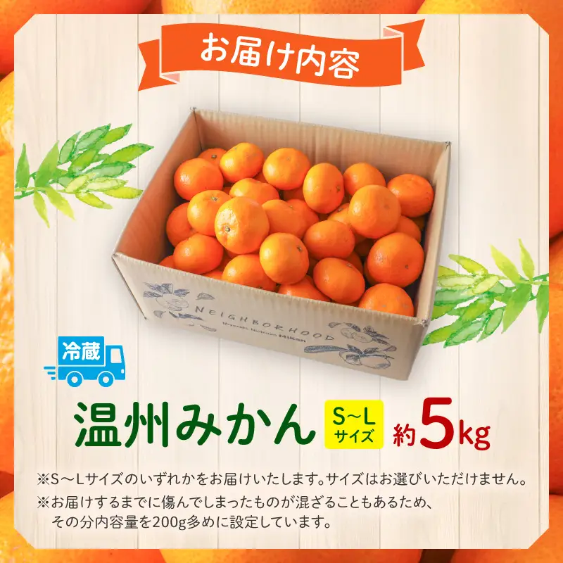 果物 温州みかん 果物[5kg 2026年～2027年発送先行予約]