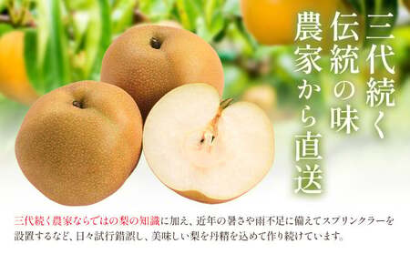 梨 定期便 5kg 計3回 矢畑むらづくり組合《8月下旬-10月中旬頃出荷》栃木県 野木町 お楽しみ フルーツ 食べ比べ 豊水梨 にっこり梨 新高梨 栃木産 果物【栃木県共通返礼品　栃木県産】【配送不可地域あり】(離島)