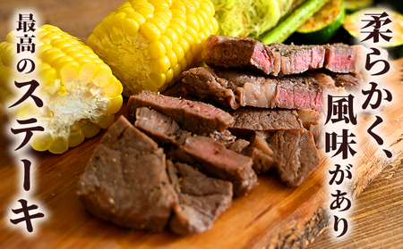 ＜熟成肉 はなが牛 ロースステーキ 2枚（1枚200g）＞ 牛肉 牛 肉 ろーすすてーき ステーキ サーロイン ブランド牛 鉄板焼き 焼き肉 焼肉 バーベキュー BBQ 国産 小分け 特産品 愛媛県 ゆうぼく 西予市【冷凍】『2か月以内に順次発送』UYB0016