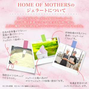 ジェラート 8個 （ おまかせ 4種以上入アソート） 【 ジェラート 】