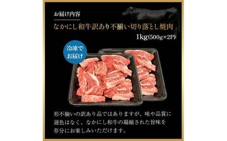 宮崎県西ノ原牧場・なかにし和牛訳あり不揃い切り落とし焼肉 1kg（国産 牛肉 肉 宮崎牛 黒毛和牛 お肉 切り落とし なかにし和牛 焼肉 人気 訳あり 不揃い ）