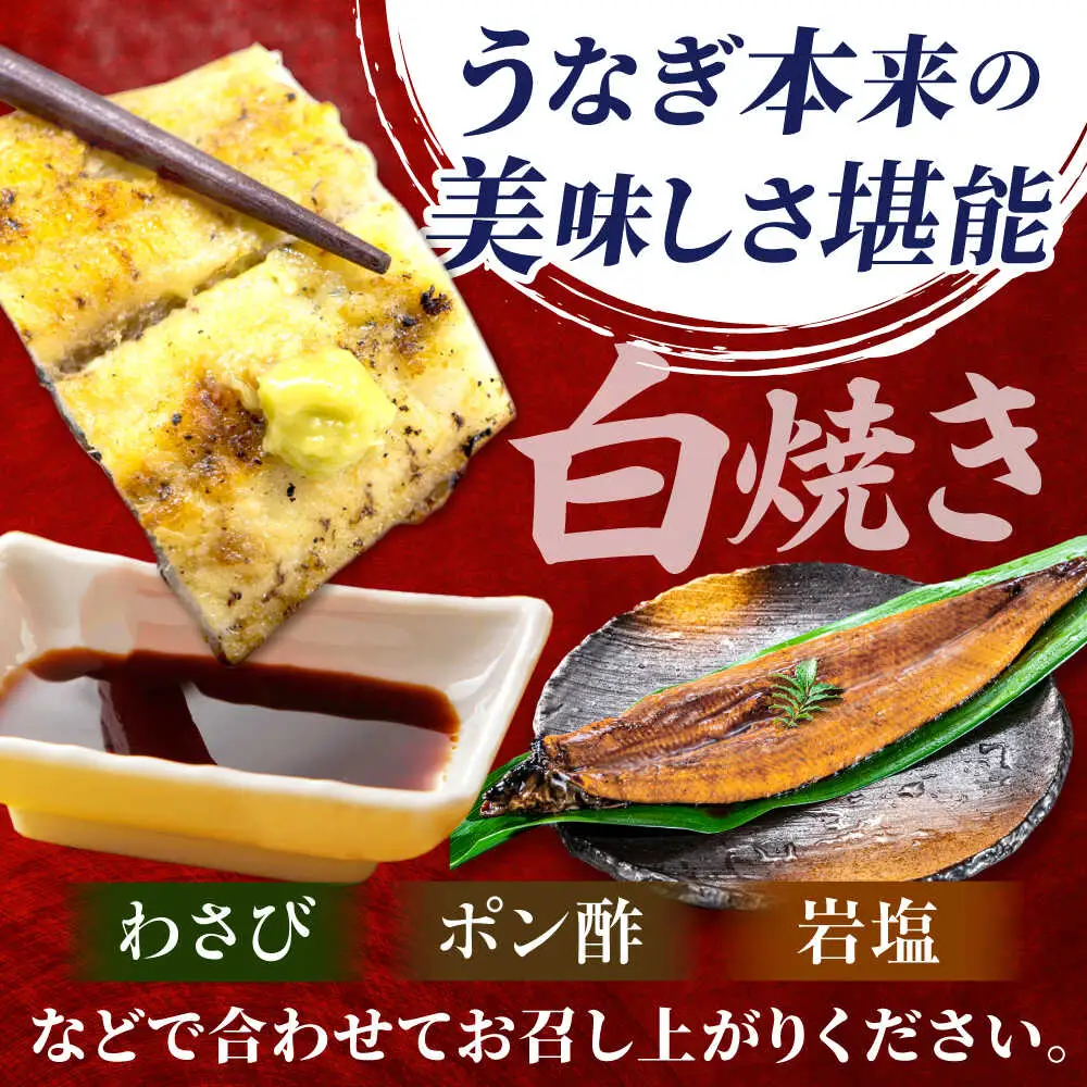 国産上うなぎの白焼き 1尾 [AVBH020]鰻白焼き
