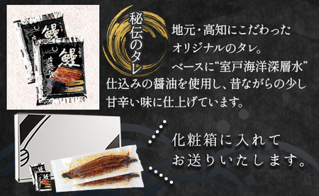 【１２回定期便】養殖うなぎ蒲焼き 約140g×２尾(台湾産鰻) - 鰻 ウナギ 養殖 かばやき タレ付き たれ おつまみ スタミナ 土用の丑の日 うな丼 うな重 丼ぶり 一品 おかず 高知県 香南市 冷凍 Wfb-0088