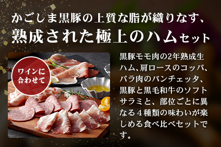 南州農場 黒豚熟成生ハム 4種食べ比べ セット 冷蔵 | 国産 肉 お肉 豚肉 豚 にく ぶた かごしま黒豚 生ハム 最高峰 熟成ハム コッパ パンチェッタ コッホサラミ スパイス サラミ 詰め合わせ 産地直送 ギフト プレゼント 贈り物 鹿児島県 南大隅町　NS-9