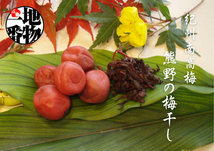 訳あり 梅干し 数量限定 しそ漬け 大つぶれ梅 3kg (1㎏×3) | 梅干し 梅干 うめぼし 梅 うめ ウメ しそ梅 訳アリ ご家庭用 人気 おすすめ 健康【frsn0011】